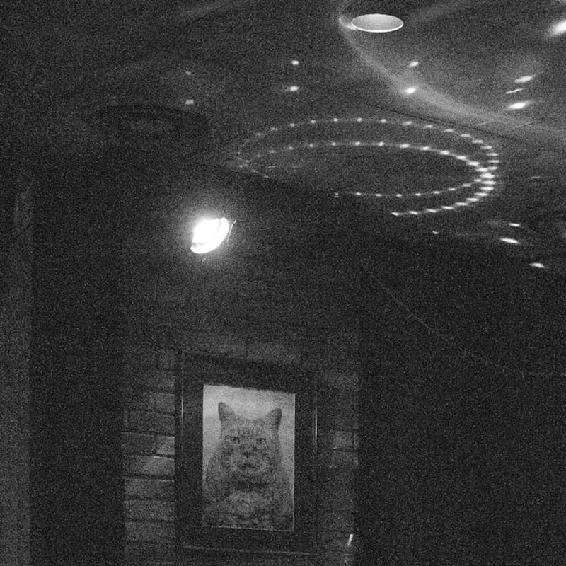 The Living Room at The Tranzac Club at night: a wall lamp, a ring of lights across the ceiling, and a framed portrait of a cat beside the doorway.